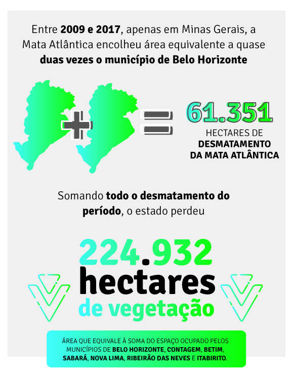 Números do desmatamento em Minas Gerais